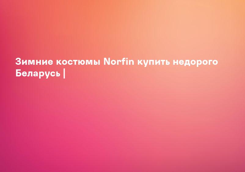 Зимний костюм NORFIN купить в Минске - доставка бесплатно!