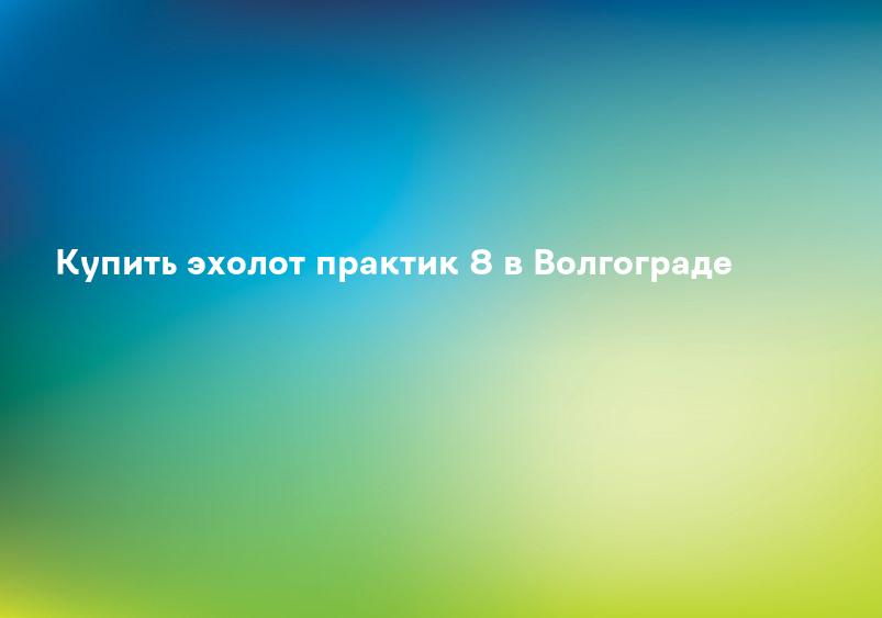Купить эхолот практик 8 в Волгограде