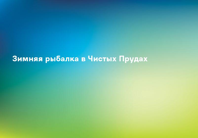 Зимняя рыбалка в Чистых Прудах