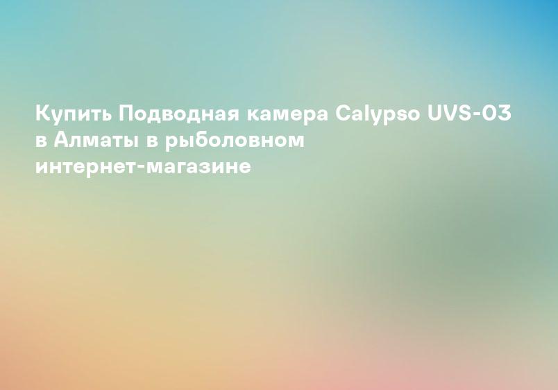 Купить Подводная камера Calypso UVS-03 в Алматы в рыболовном интернет-магазине