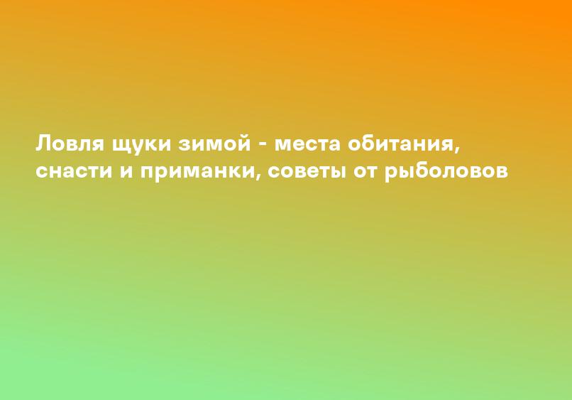 Ловля щуки зимой - места обитания, снасти и приманки, советы от рыболовов