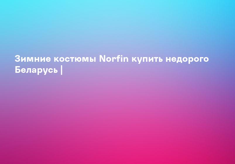 Зимний костюм NORFIN купить в Минске - доставка бесплатно!