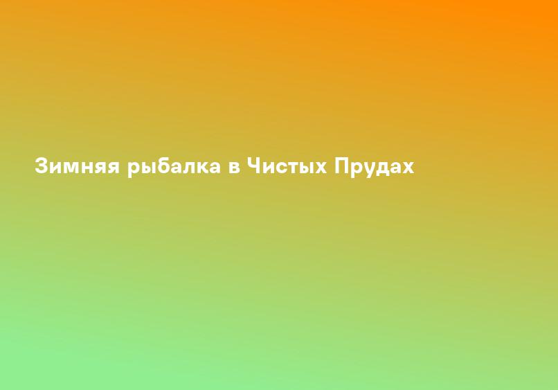 Зимняя рыбалка в Чистых Прудах