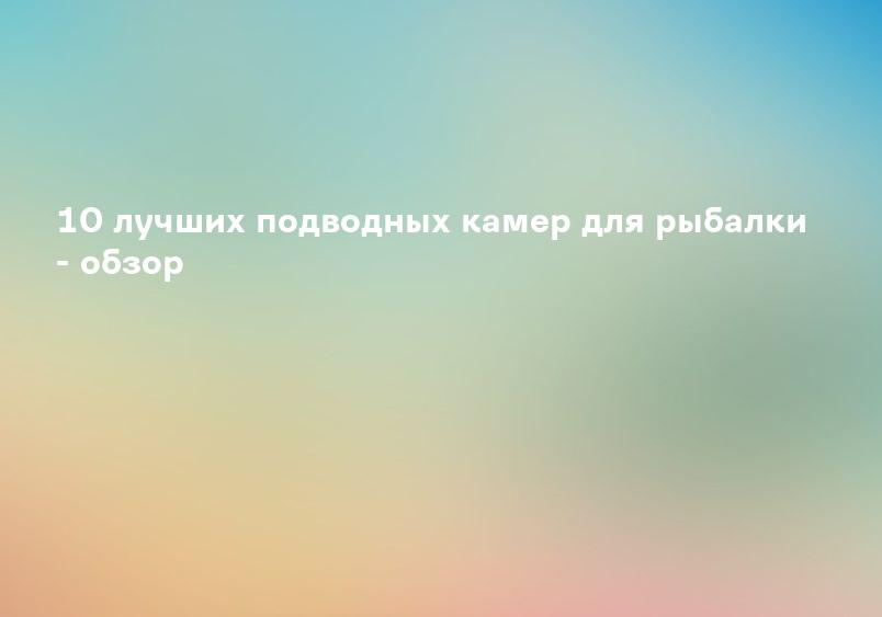 10 лучших подводных камер для рыбалки - обзор