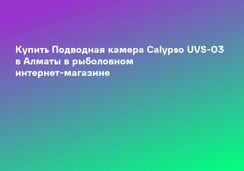 Купить Подводная камера Calypso UVS-03 в Алматы в рыболовном интернет-магазине