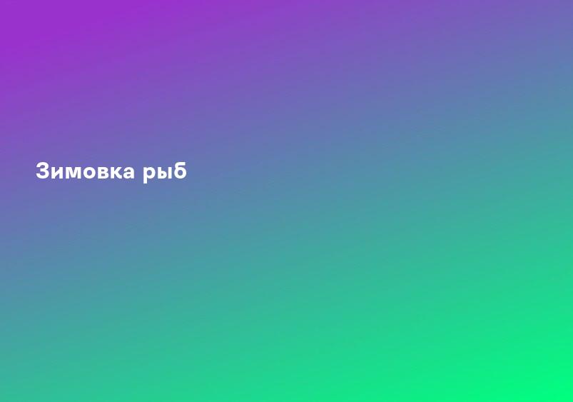 Как зимуют рыбы: Почемучка. Детские вопросы