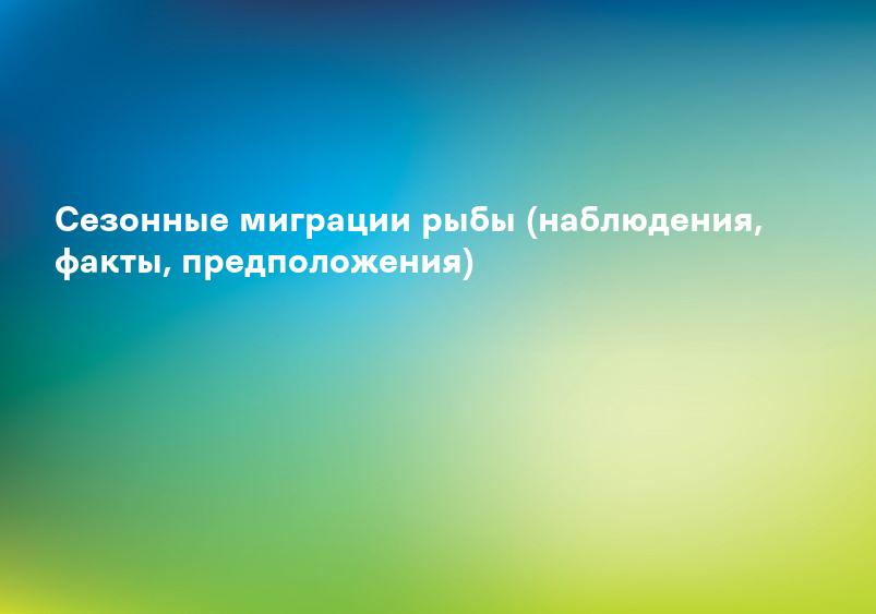 Сезонные миграции рыбы (наблюдения, факты, предположения)