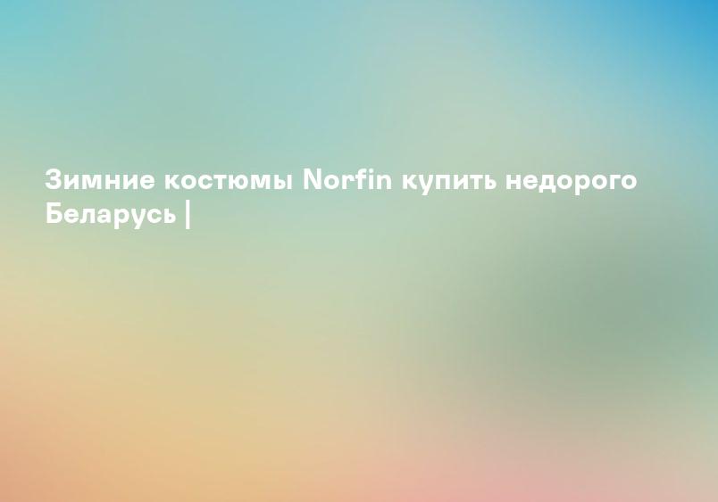 Зимний костюм NORFIN купить в Минске - доставка бесплатно!