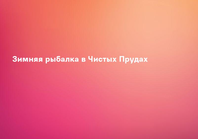 Зимняя рыбалка в Чистых Прудах